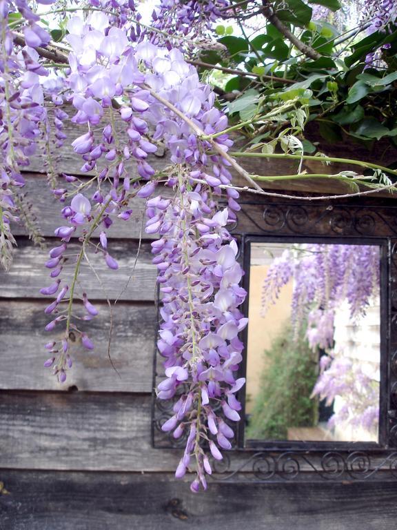 Gîte Au Jardin Meilhan-sur-Garonne Cameră foto