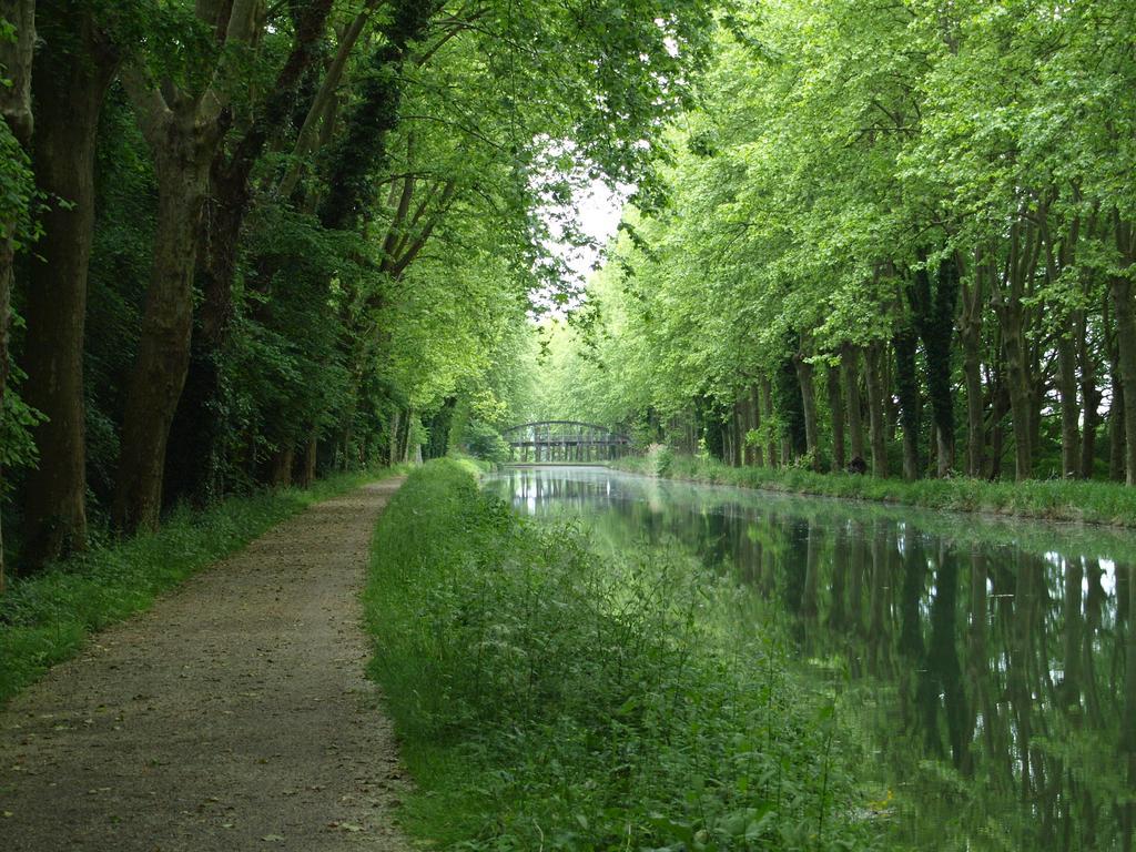 Gîte Au Jardin Meilhan-sur-Garonne Cameră foto