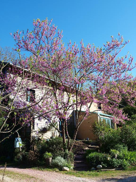 Gîte Au Jardin Meilhan-sur-Garonne Cameră foto