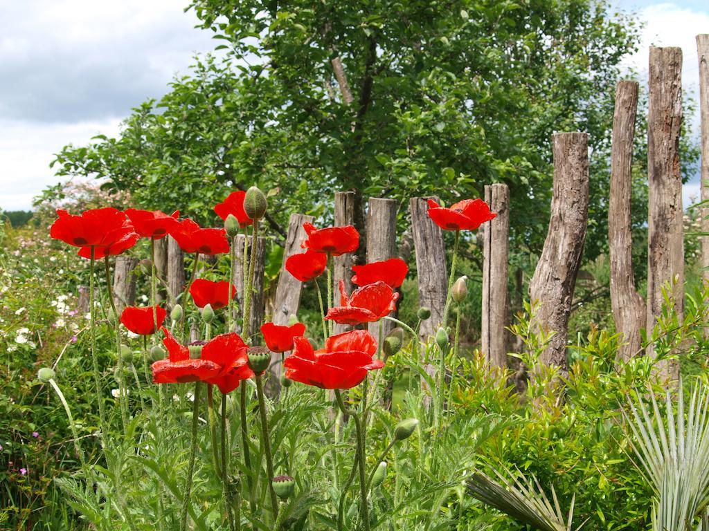 Gîte Au Jardin Meilhan-sur-Garonne Cameră foto