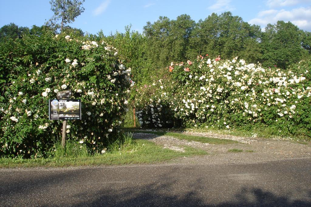 Gîte Au Jardin Meilhan-sur-Garonne Exterior foto